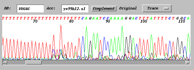 New CORBA client server trace viewer